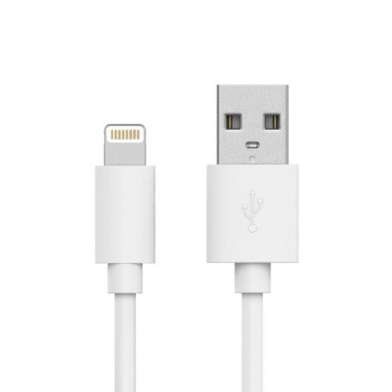 Lightning to USB Cable