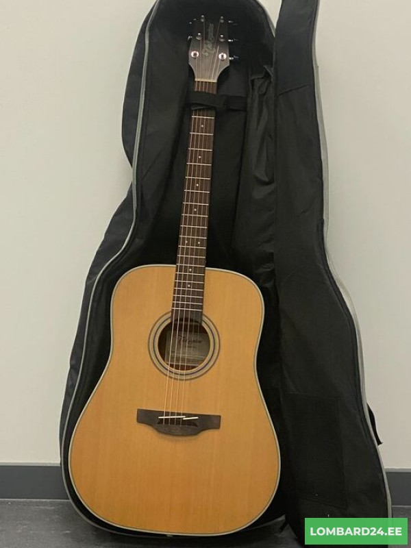 Takamine G series GD20-NS
