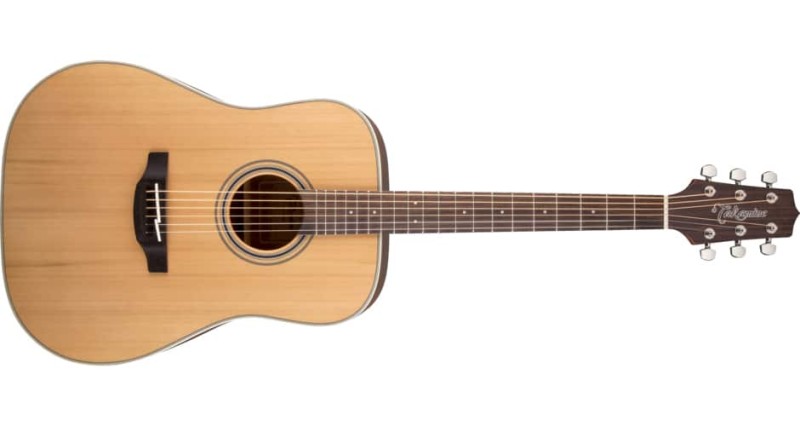 Takamine G series GD20-NS