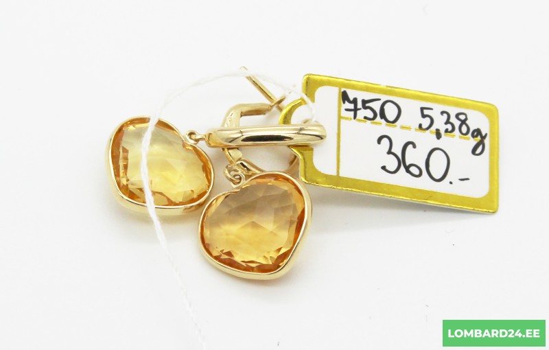 Kuldkõrvarõngad 5,38g