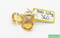 Kuldkõrvarõngad 5,38g