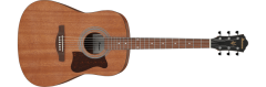 Ibanez V54NJPOPN