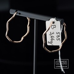 Kuldkõrvarõngad 3,66