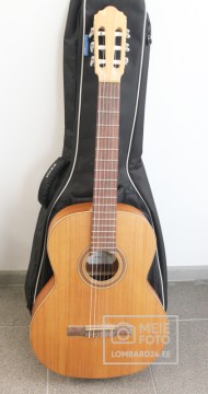 KREMONA S65C Green Globe