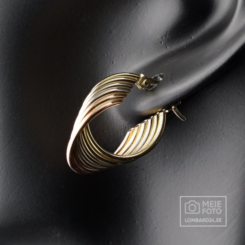 Kuldkõrvarõngad 3,76