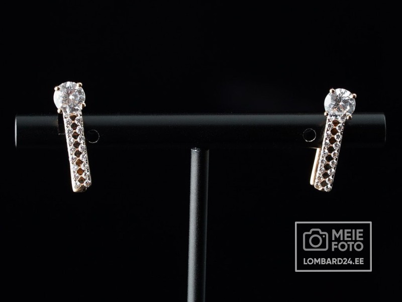 Kuldkõrvarõngad 3,07g