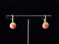 Kuldkõrvarõngad 3.19g