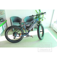 Elektrikergust E-Evoque 26, 500W, 48V