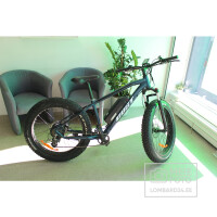 Elektrijalgrat Gust E-Evoque 26 500W 48V 13Ah