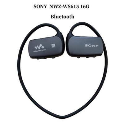 Heliiseadmed Sony NW-WS410 4 GB veekindel